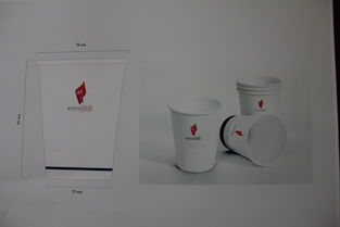 校園文化產(chǎn)品開發(fā)中的廣告策劃與設(shè)計賞析
