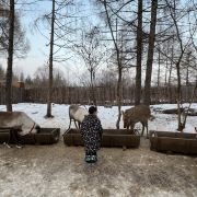 安圖長白山雪絨花馴鹿園游玩-長白山雪絨花馴鹿園門票多少錢/價格表-團購票價預定優(yōu)惠-景點地址在哪里/圖片介紹/參觀預約/旅游游覽順序及注意事項/營業(yè)時間-】