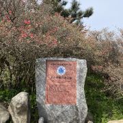 麻城龜峰山游玩-龜峰山門票多少錢/價格表-團購票價預定優惠-景點地址在哪里/圖片介紹/參觀預約/旅游游覽順序及注意事項/營業時間-【攜程】