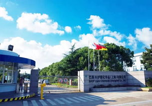 百億級(jí)產(chǎn)業(yè)項(xiàng)目落戶金山,背后的 門道