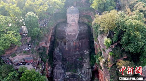 樂山大佛景區(qū)限游客數(shù)量 游覽安全有序