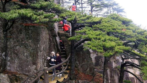 窮人越來越窮,富人越來越富,盤點富人不希望窮人明白的秘密