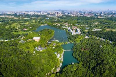 草地露營、國潮音樂節、少兒音樂匯 南京珍珠泉度假區假期精彩紛呈，盡顯卓越園區管理服務